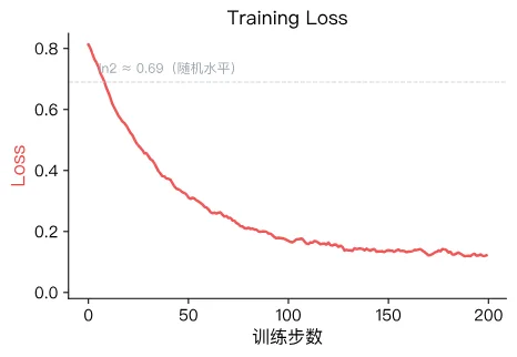 Training loss curve