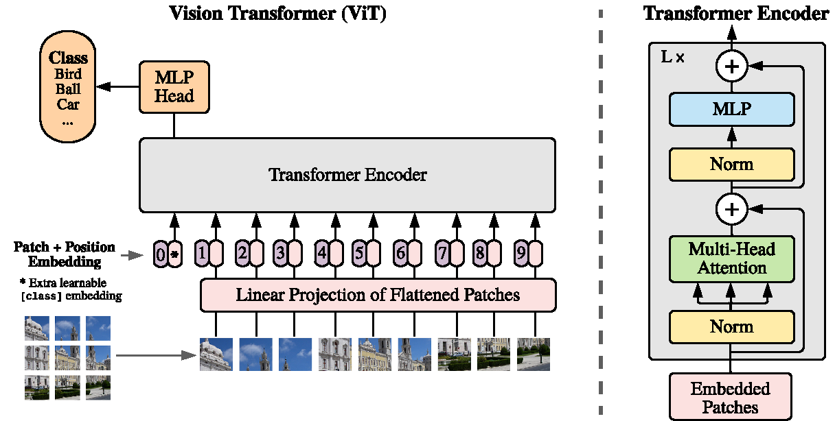 ViT 总览展示图像块经线性嵌入和位置编码后进入标准 Transformer 编码器的完整路径。